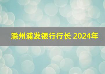 滁州浦发银行行长 2024年